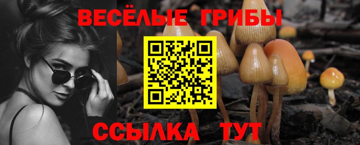 Ангарск  Псилоцибиновые грибы Psilocybine cubensis  Вход с VPN 
